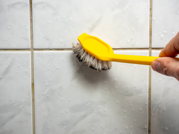 Best Local Mold Removal Service  in Fruitport, MI