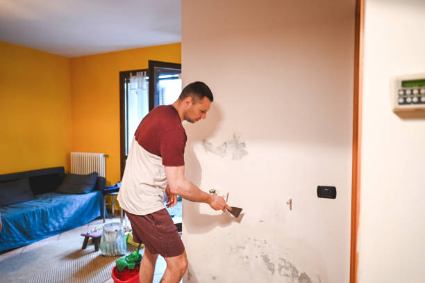 Best Mold Cleaning Services  in Fruitport, MI